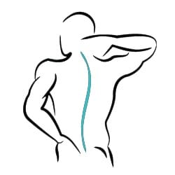 Line drawing of person with teal spine